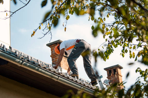 Best Roof Leak Repair  in South Dos Palos, CA